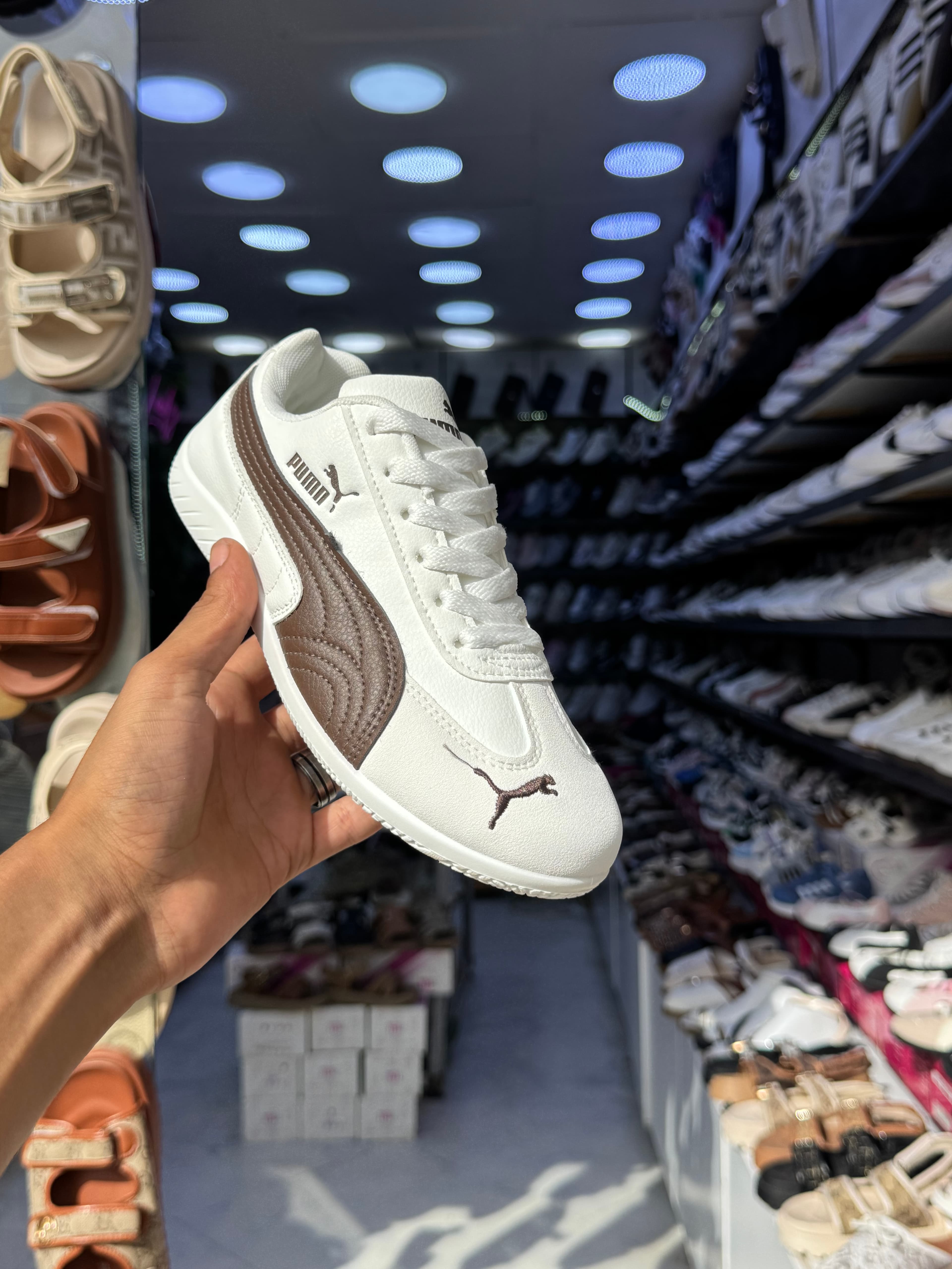 Puma speedcat 10 colors — White&brown